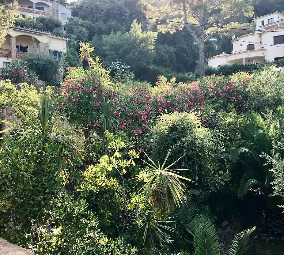 Begur Sa Riera, Vue Mer, Appartement De Charme Pour 4 Personnes A 5Mn De La Plage 0*,  Spanien